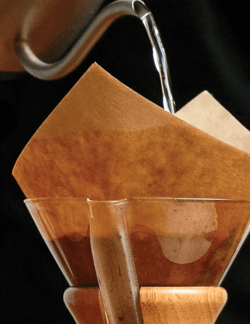 Filtres Chemex (100) - non blanchis