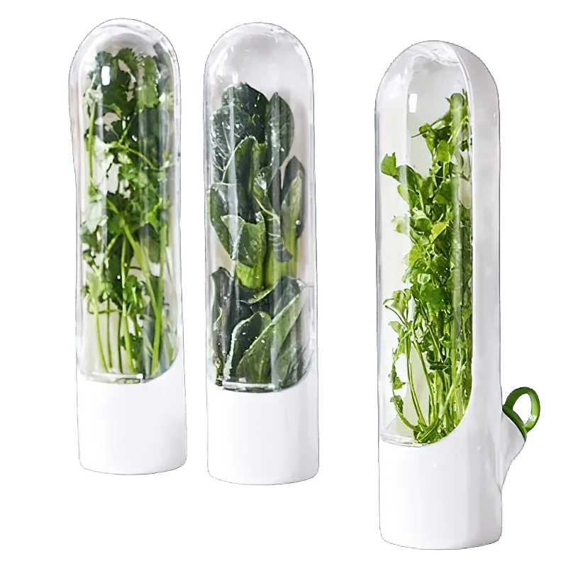 Boîte Hermétique 3 Pièces pour Conservation Légumes Frais
