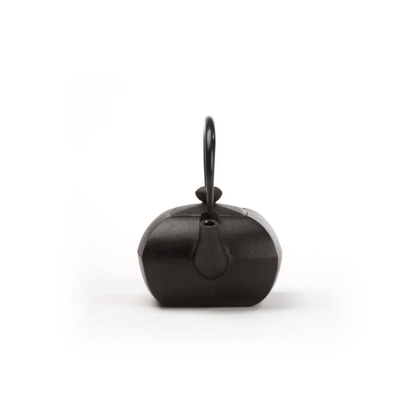 Théière fonte du Japon - KANWA - 0.4 L - noir | Dammann Frères