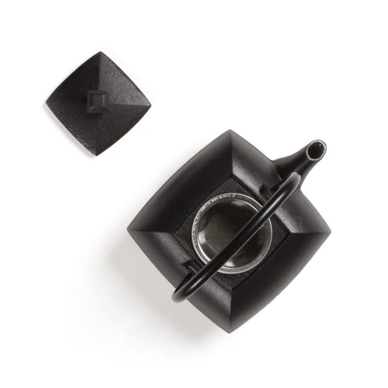 Théière fonte du Japon - KANWA - 0.4 L - noir | Dammann Frères