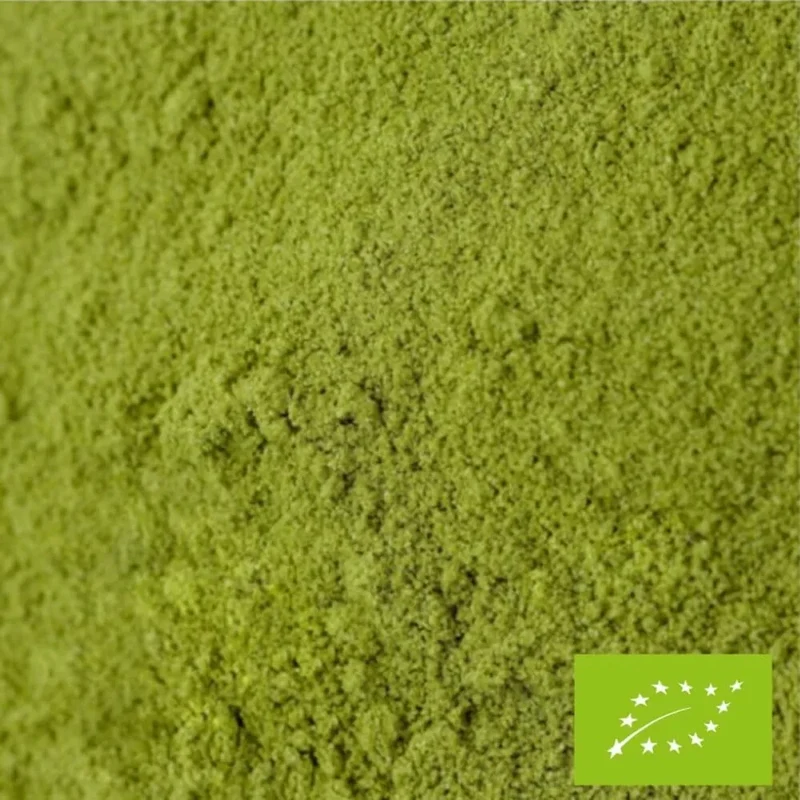 Matcha Hana BIO du Japon - 30 Gr | FBKT