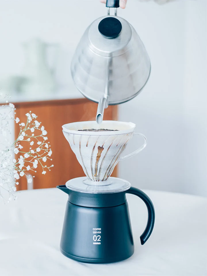 Hario - V60-02 infuseur transparent en plastique