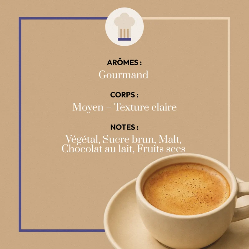 Café en Grain Guatemala Maya by Sail - Café Bonnac | 100% Arabica