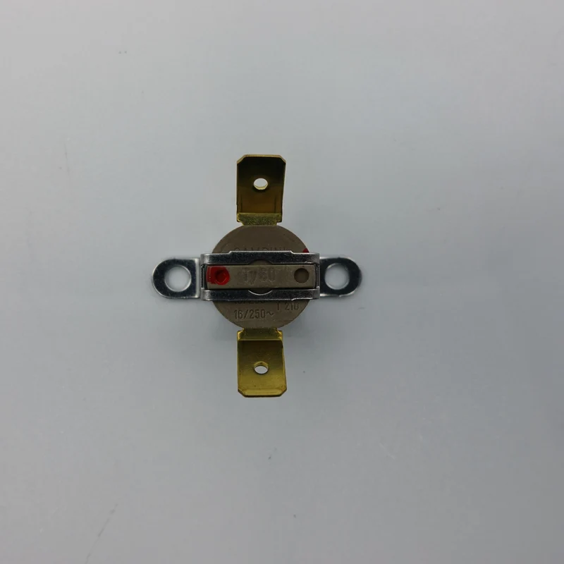 Silvia Thermostat 100C