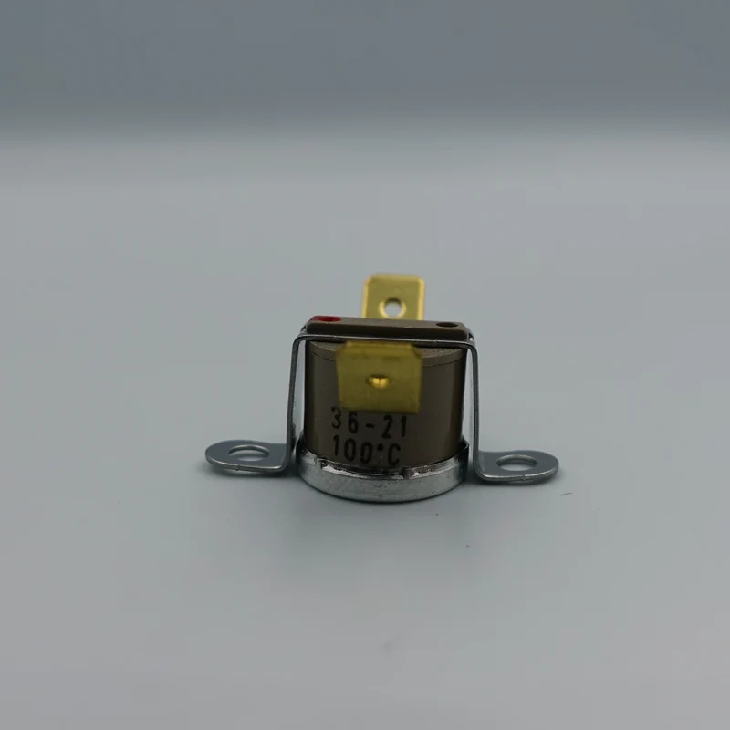 Silvia Thermostat 100C