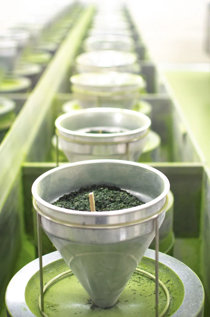 Camellia Sinensis - Matcha Sora (100g)