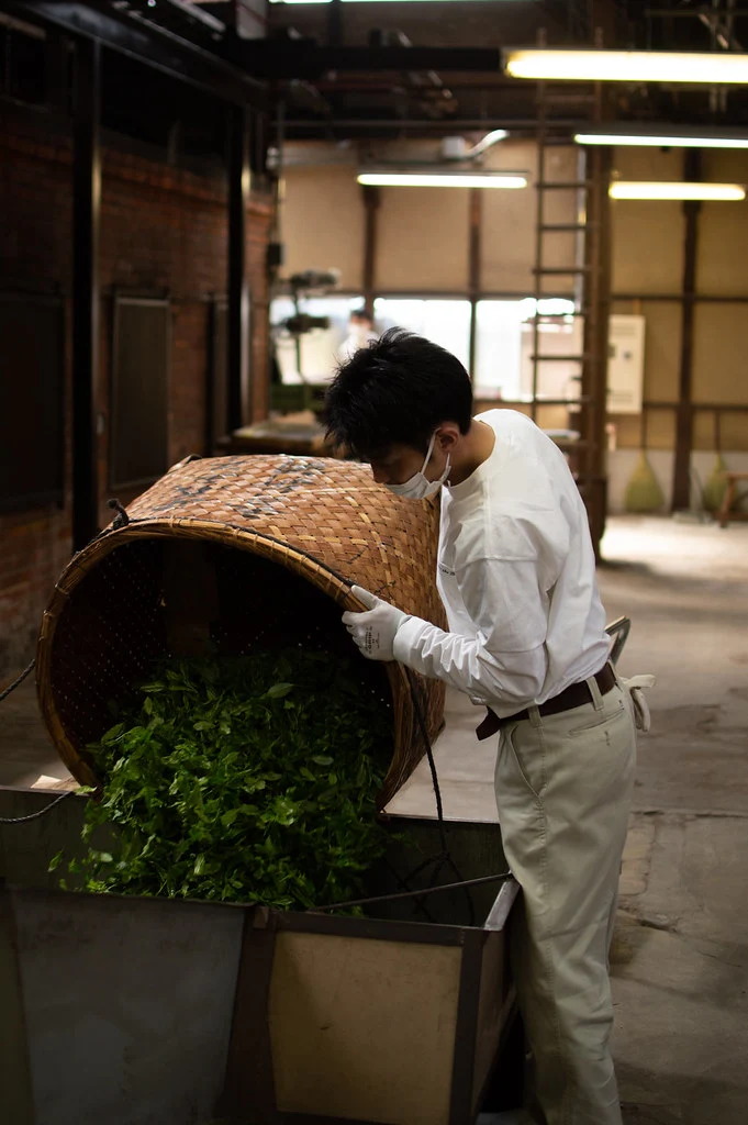 Camellia Sinensis - Matcha Sora (40g)