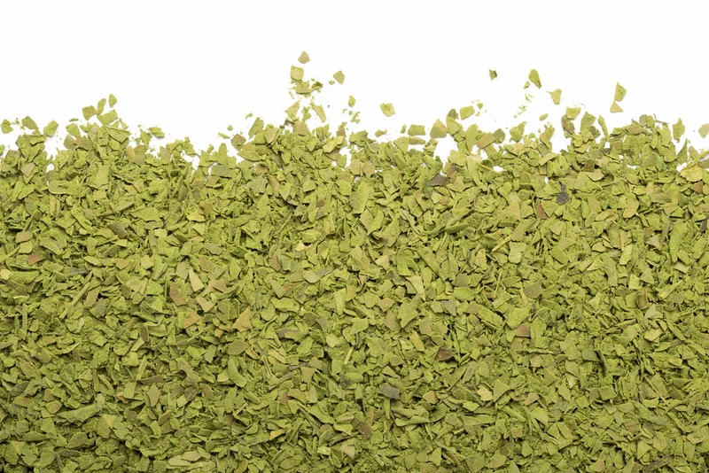 Camellia Sinensis - Dynamo biologique (150g)