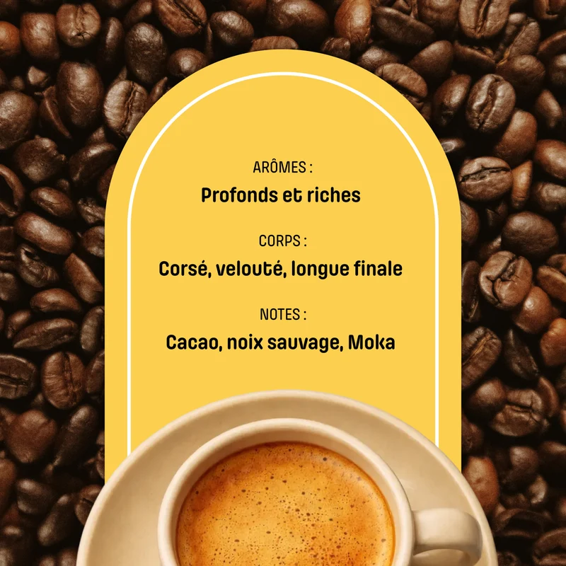 Café en Grain Presto - Blend Caffè Intenso | Arabica/Robusta - Goût Italien