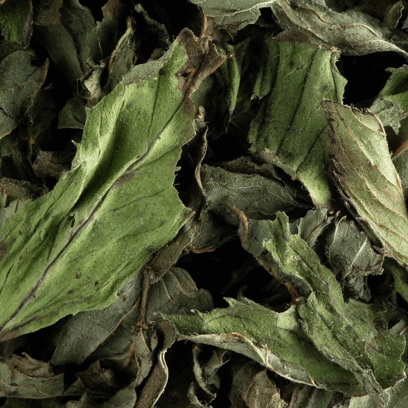 Tisane Menthe Poivrée - 25 sachets | Dammann Frères