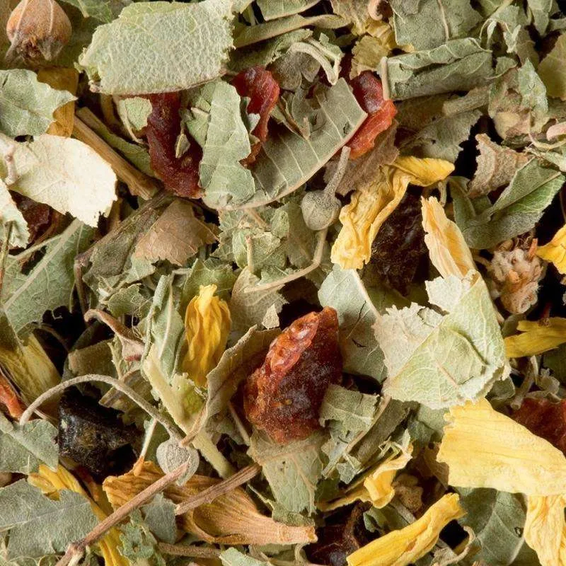 Tisane de la Reyne - 100 Gr | Dammann Frères