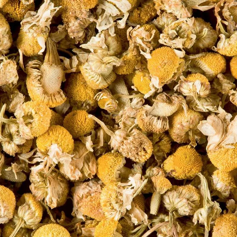 Infusion Camomille - 20 sachets | Dammann Frères