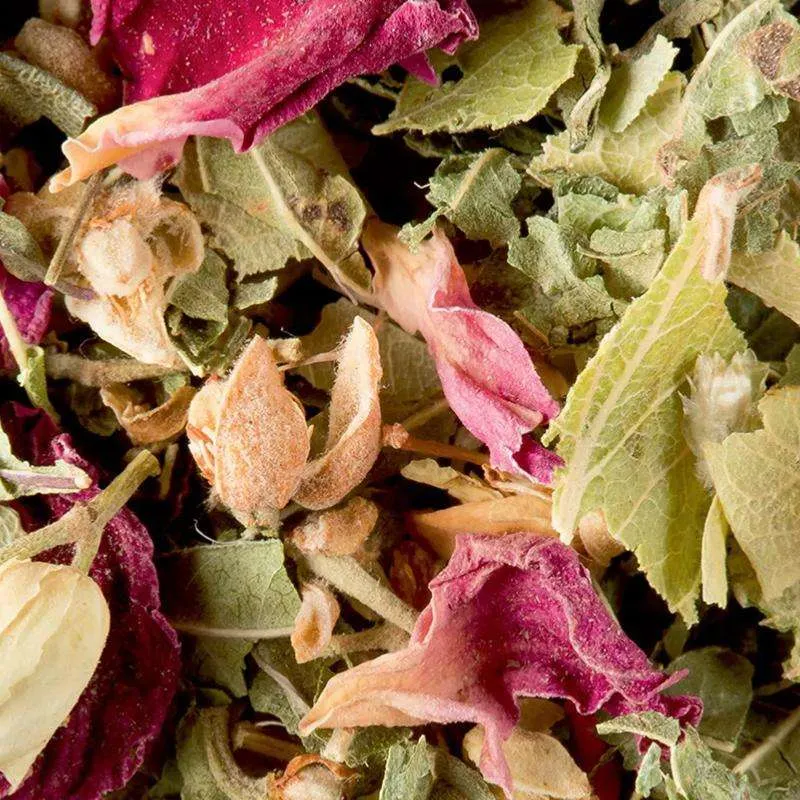 Tisane Bali - 25 sachets | Dammann Frères