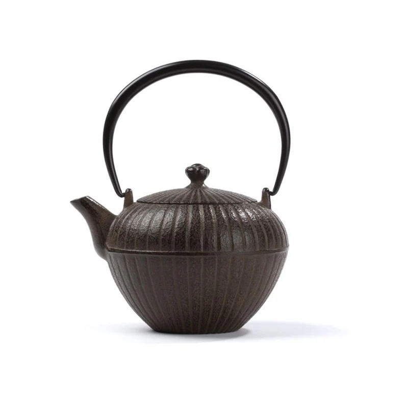 Théière Fonte du Japon - - Marron - Chakatake - 0.55 L | Dammann Frères