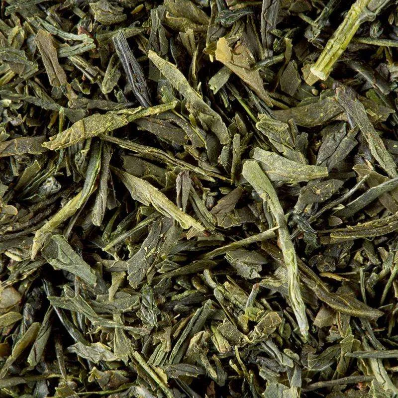 Thé Vert Sencha Fukuyu - 25 sachets | Dammann Frères