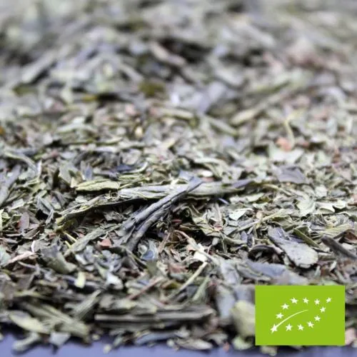 Thé Vert BIO Menthe Verte - 100 Gr | FBKT