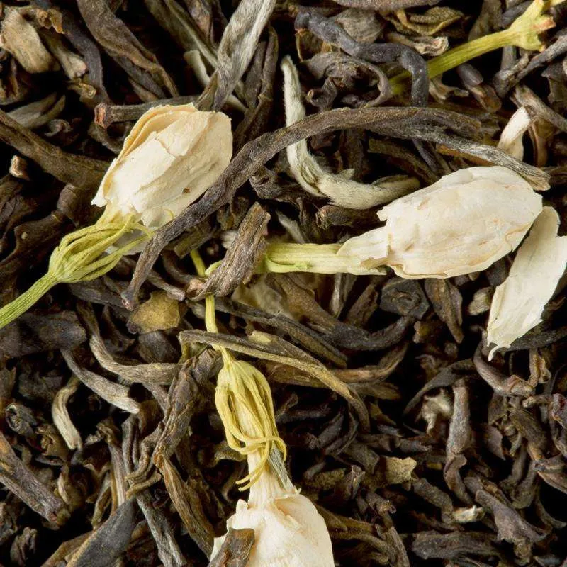 Thé Vert au Jasmin - 25 sachets | Dammann Frères