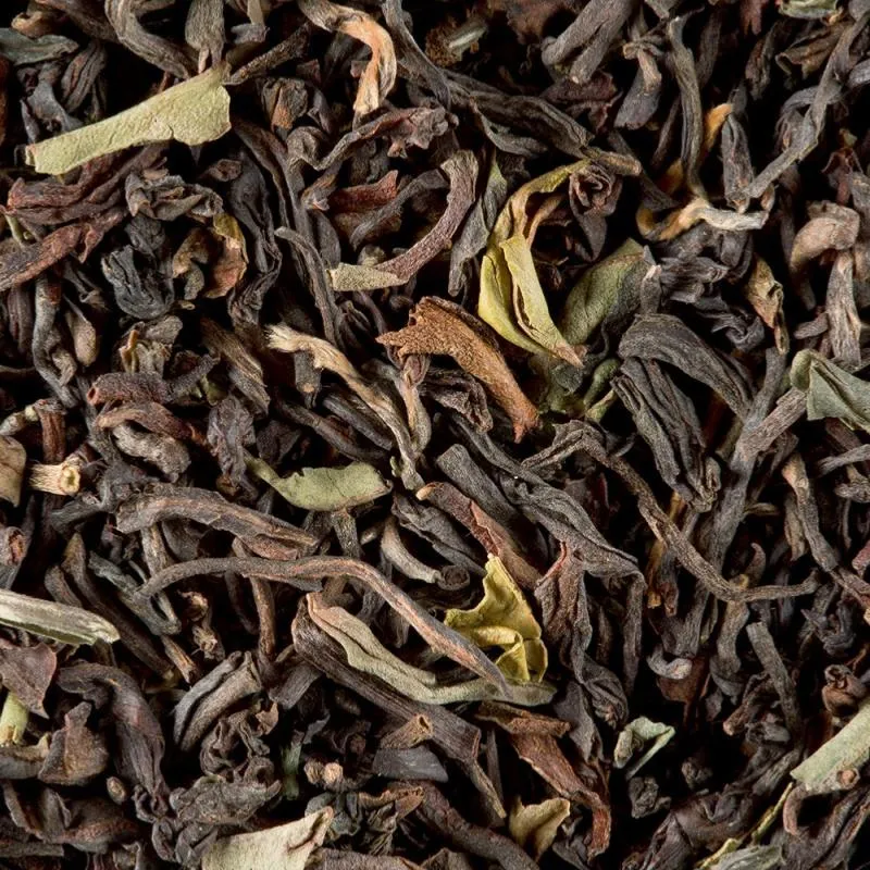 Thé Noir Darjeeling Jungpana G.F.O.P 2nd Flush - 100 Gr | Dammann Frères