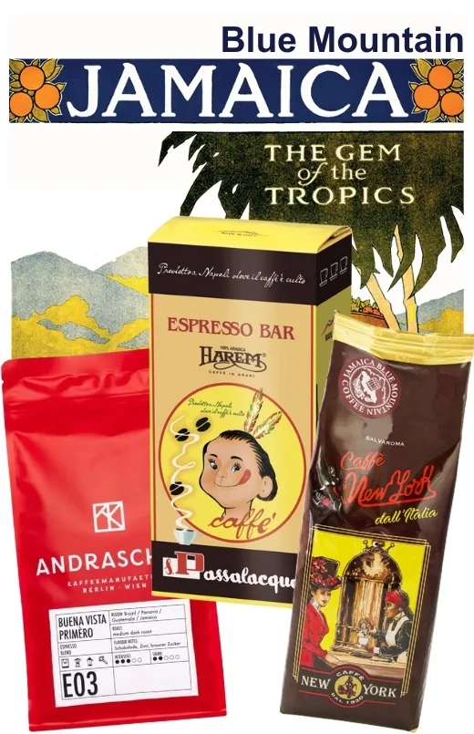 Lot dégustation JAMAICA BLUE MOUNTAIN (3 Sachets)