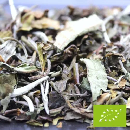 Thé Blanc BIO Chine Pai Mu Tan - 100 Gr | FBKT
