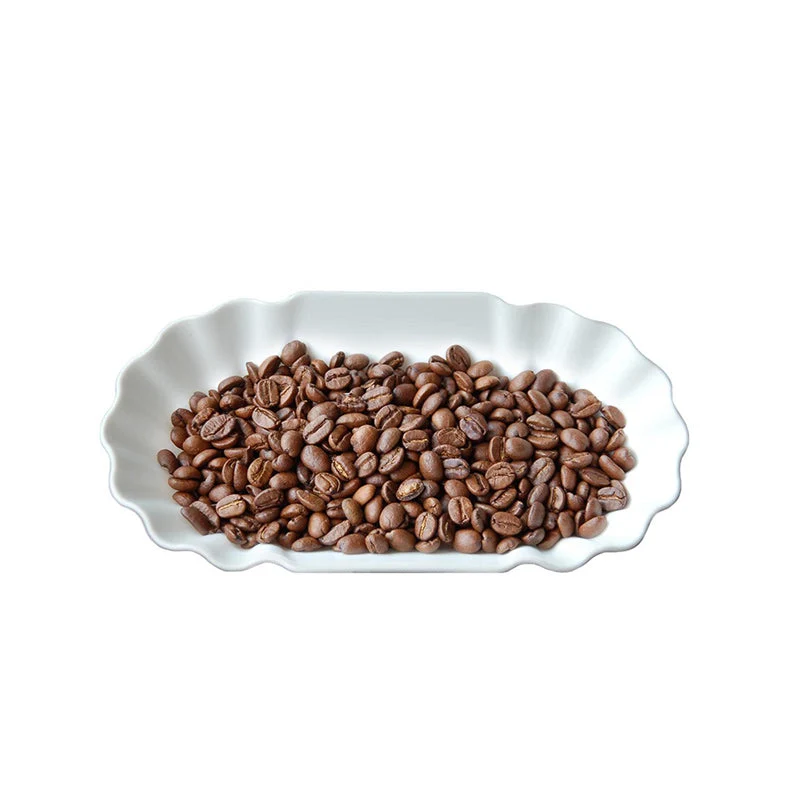 Set 12 Plateaux Plastique pour Cupping | JoeFrex