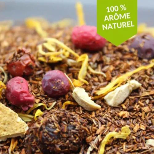 Rooibos Canneberge Orange Gingembre - 100 Gr | FBKT