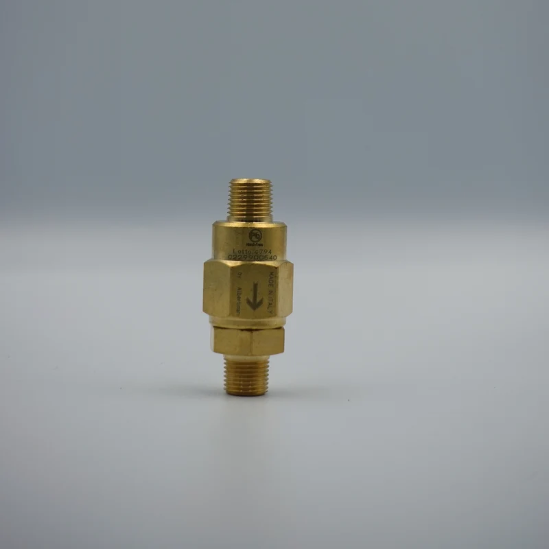 Valve à sens unique 1/8M x 1/8M