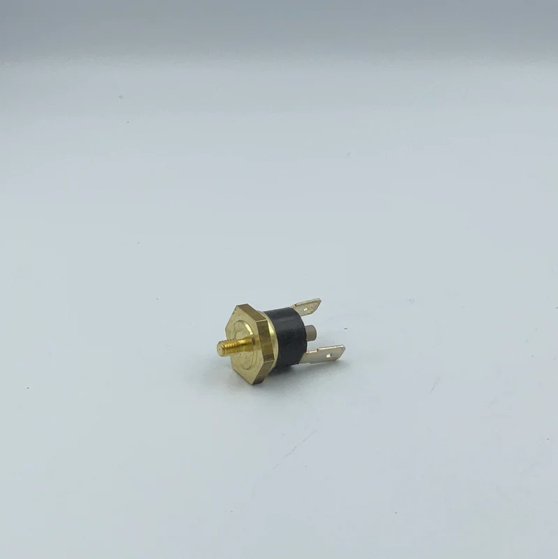 Thermostat Securite 165C