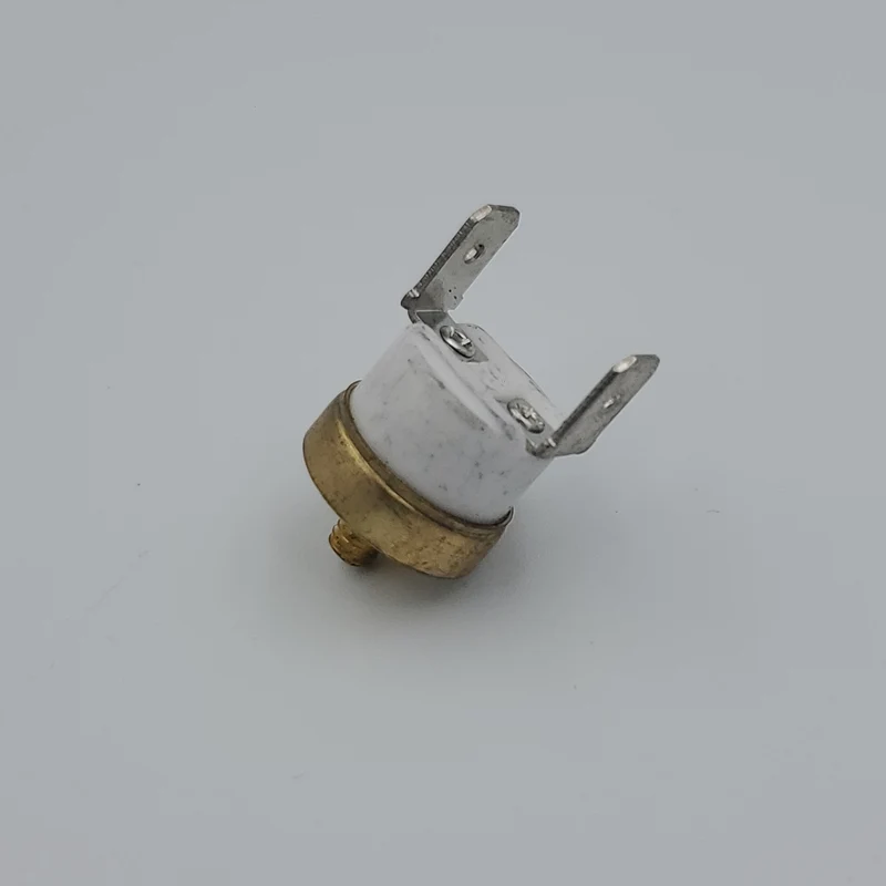 Thermostat 100C