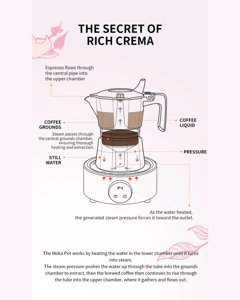Double Valve Moka Pot – 100ml by MHW-3BOMBER