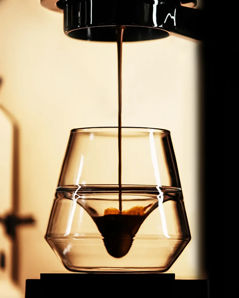 DW Series Glass Cup by MHW-3BOMBER