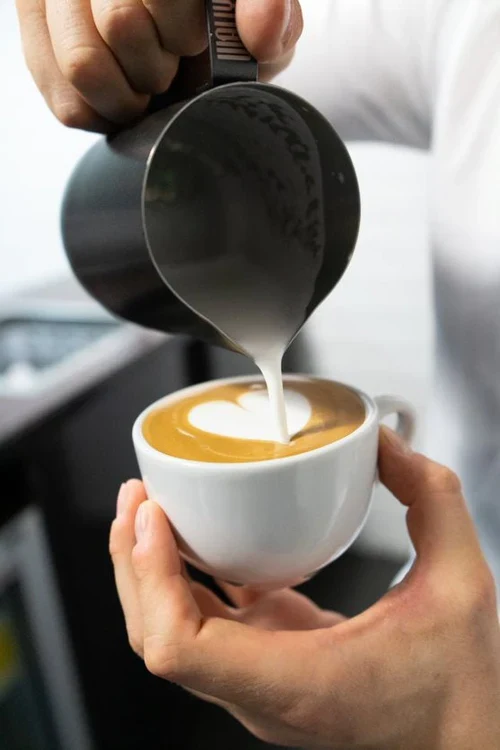 LaMarzocco - Wally Milk