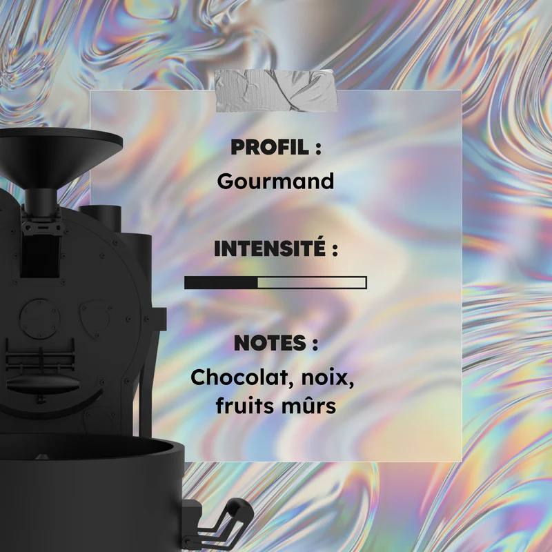 Café Moulu Jamaïque Blue Mountain - 92° | 100% Arabica