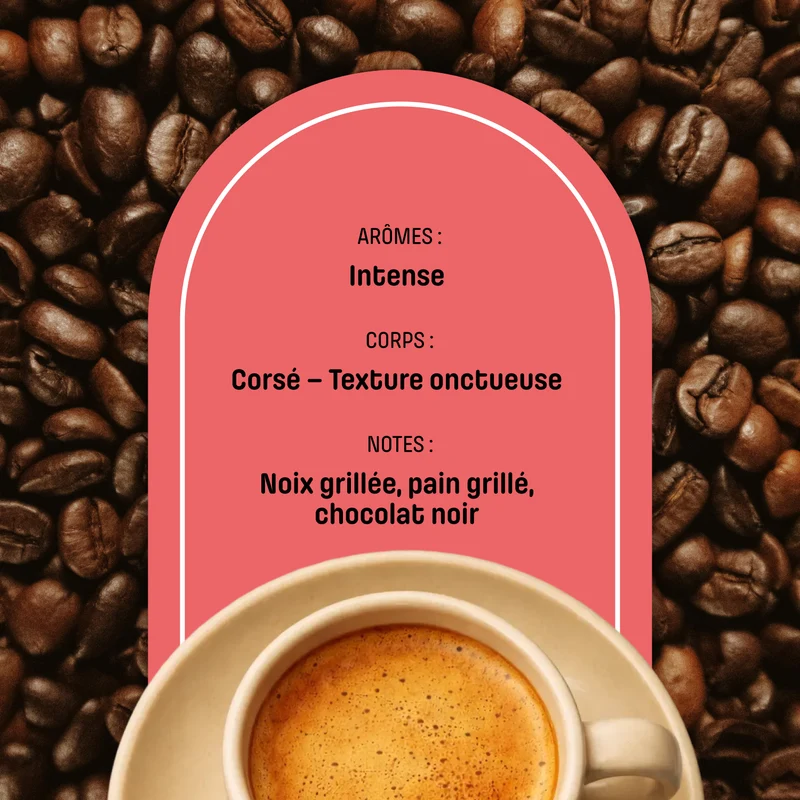 Café en Grain Presto - Blend Gusto Italiano | Arabica/Robusta - Café Certifié Biologique - Goût Italien