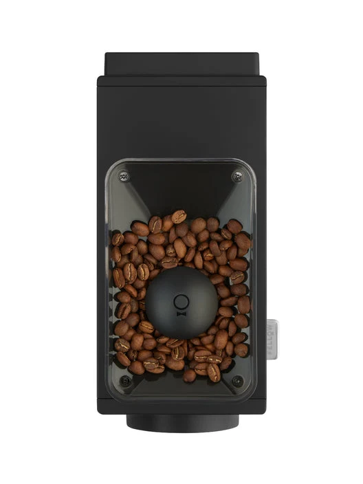 Fellow Ode Brew Grinder (Gen 2) — Moulin à café à dose unique pour infusion (filtre, cold brew)