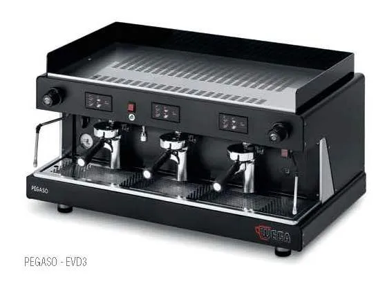 Wega Pegaso