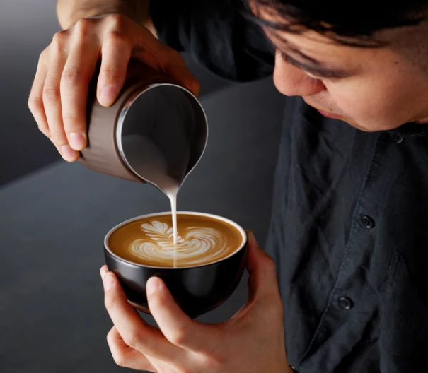 SAGE - Pichet the Pro Control Jug