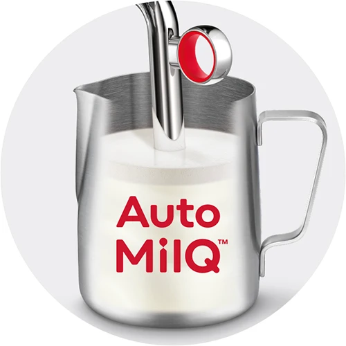 SAGE - Barista Touch Impress + 1kg de café + 2h de formation