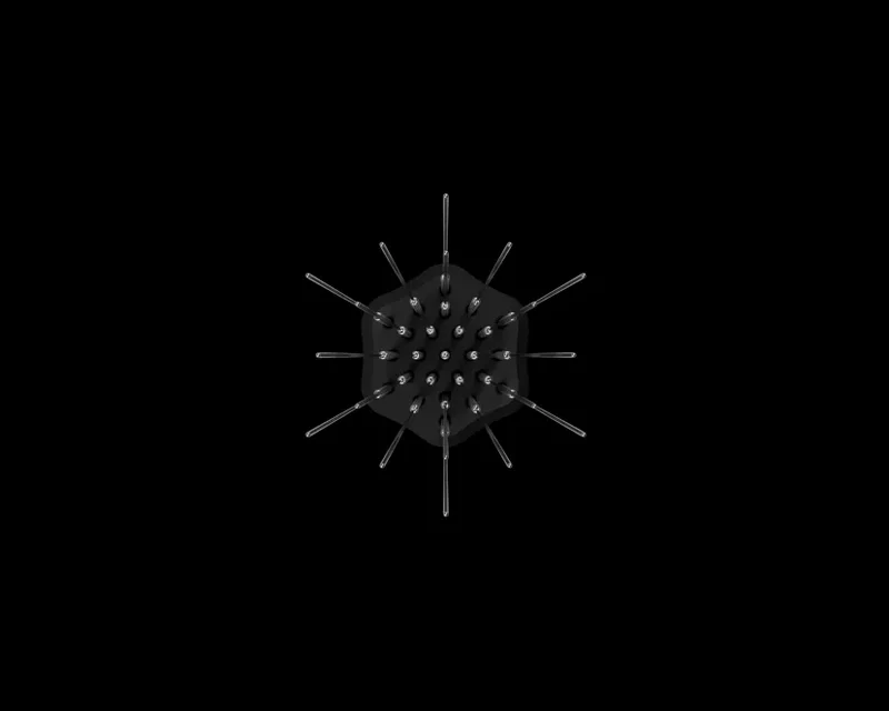 Barista Hustle - The comb