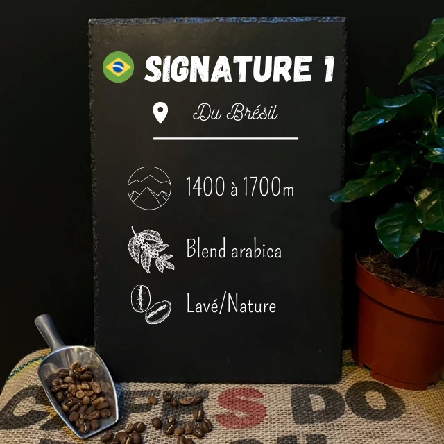 Café du Brésil Signature 1 - High quality beans from Daterra Farm