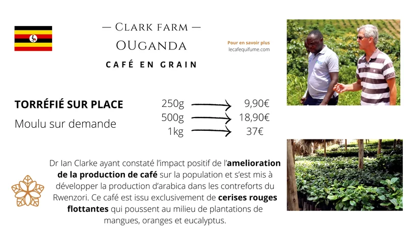 Café éphémère du Ouganda
