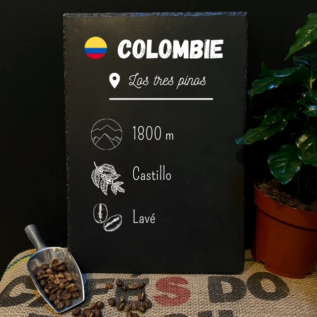 Café de colombie - Los tres Pinos de Victoria - Parcelle Le café Qui Fume