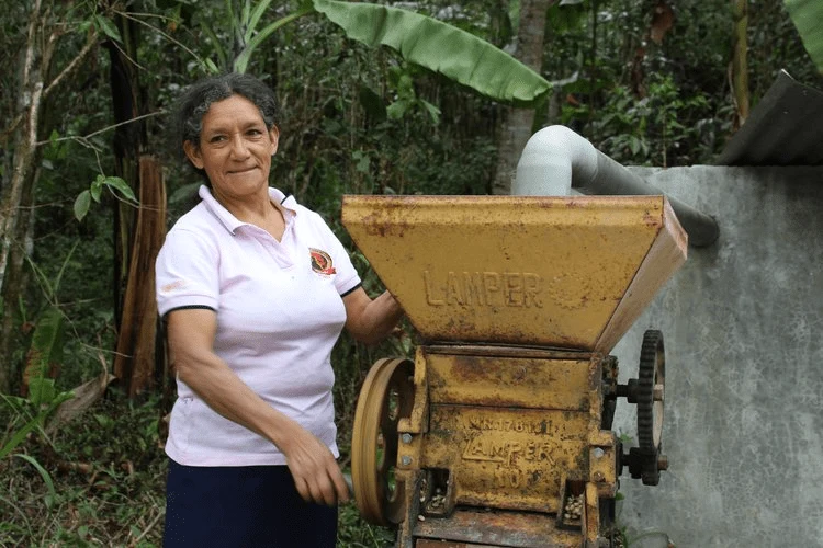 Café Cecanor du Pérou Bio