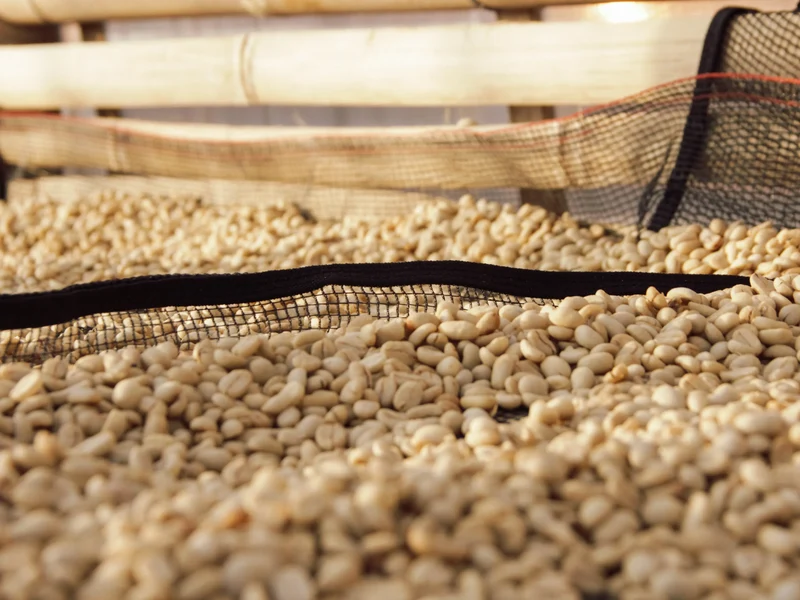 Café en grain Indonesie Sunda - SCA 84.5