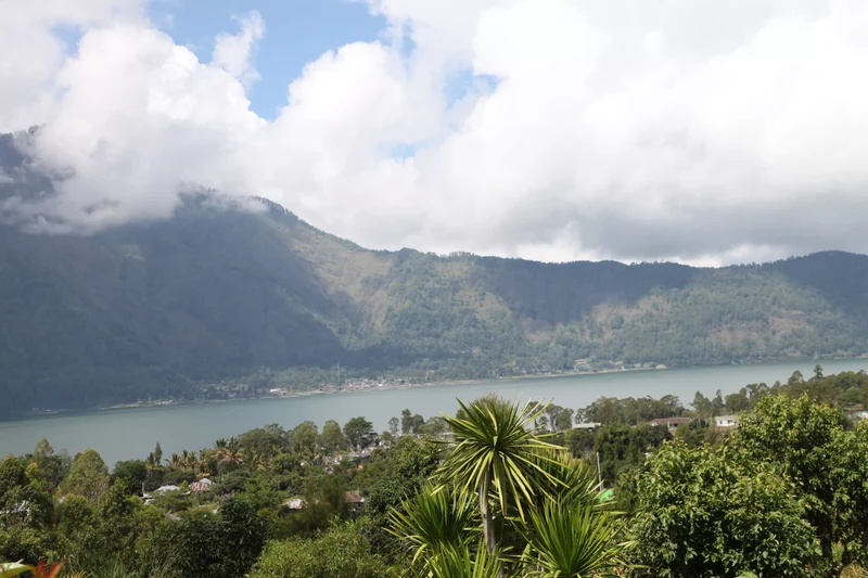 Café en grain Indonesie Sunda - SCA 84.5
