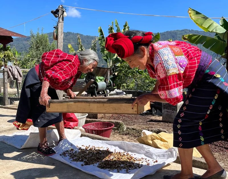 Café en grain Guatemala Quetzalito - SCA 83,5