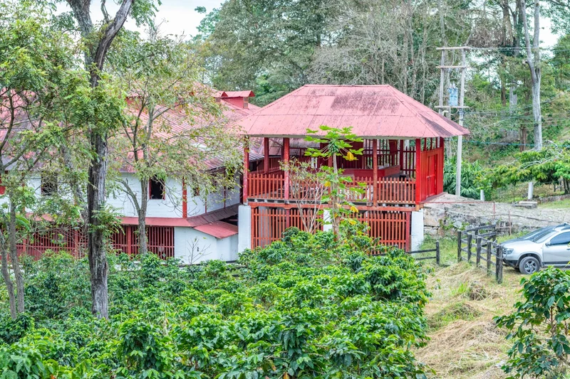 Café en grain COLOMBIE - Sudan Rume -Tequendama - SCA 87,25