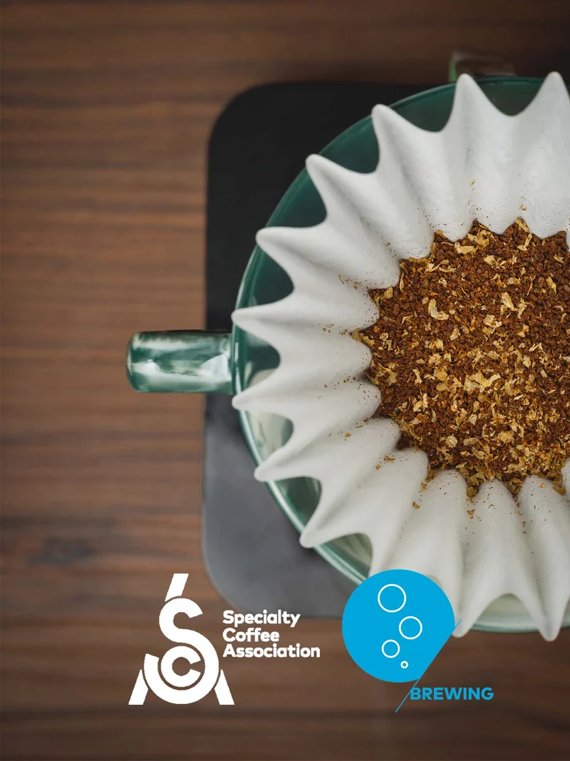 Formation certifiée SCA - Brewing niveau Initiation