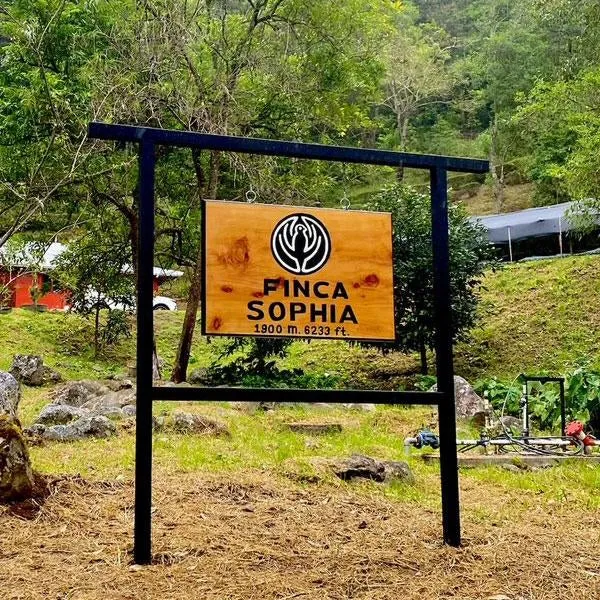 Take Over avec Tanat - Spécial Finca Sophia