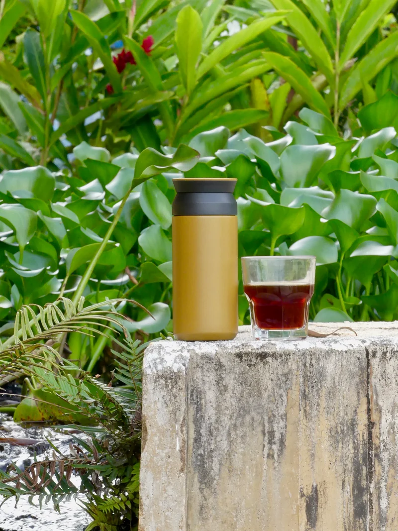 Thermos Travel Kinto